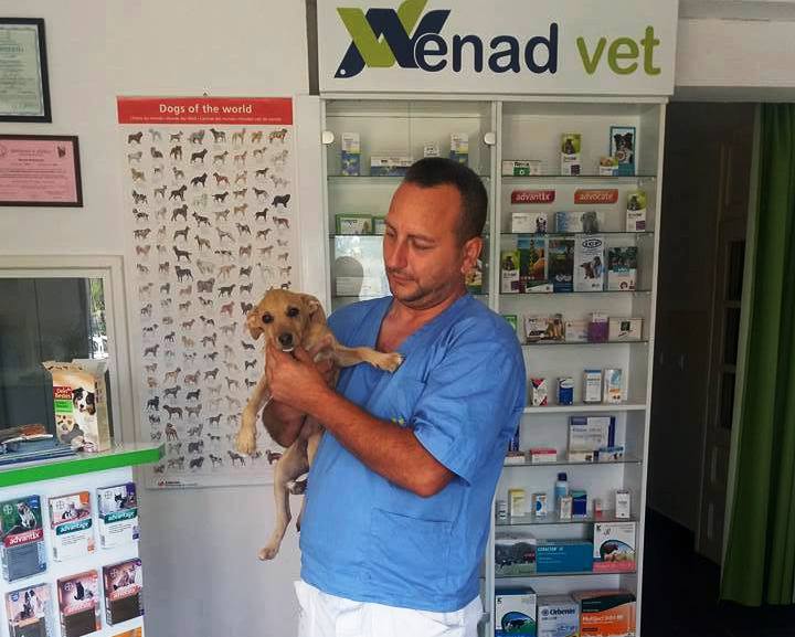 VETERINAR MEKOG SRCA: Izlečio napušteno štene od rahitisa, danas mu je Bruno najbolji prijatelj