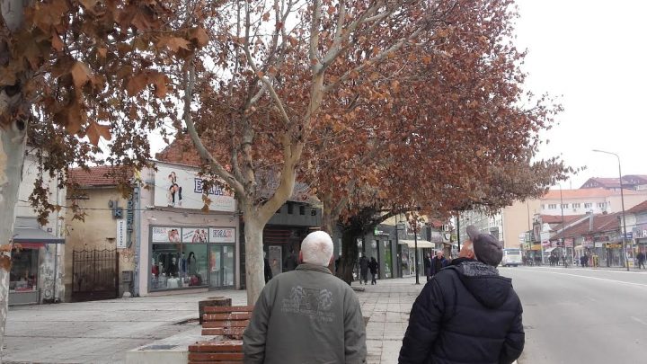 Kako su sove naselile centar Leskovca i koje predrasude vladaju o njima