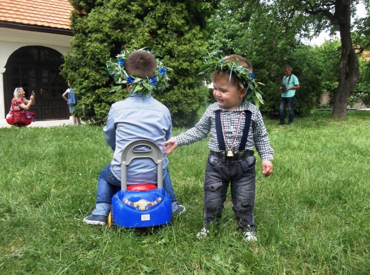 Zvončići i venčići prekrili gradske ulice