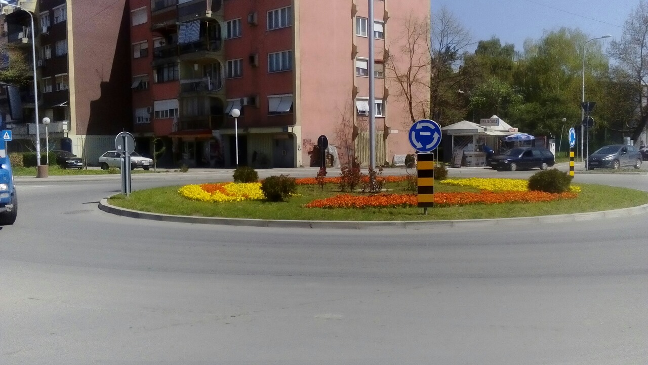 Počela prolećna sadnja, koliko će da nam traju ljubičice?