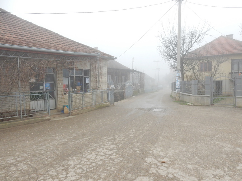 Drvoseča poginuo u šumi od strujnog udara